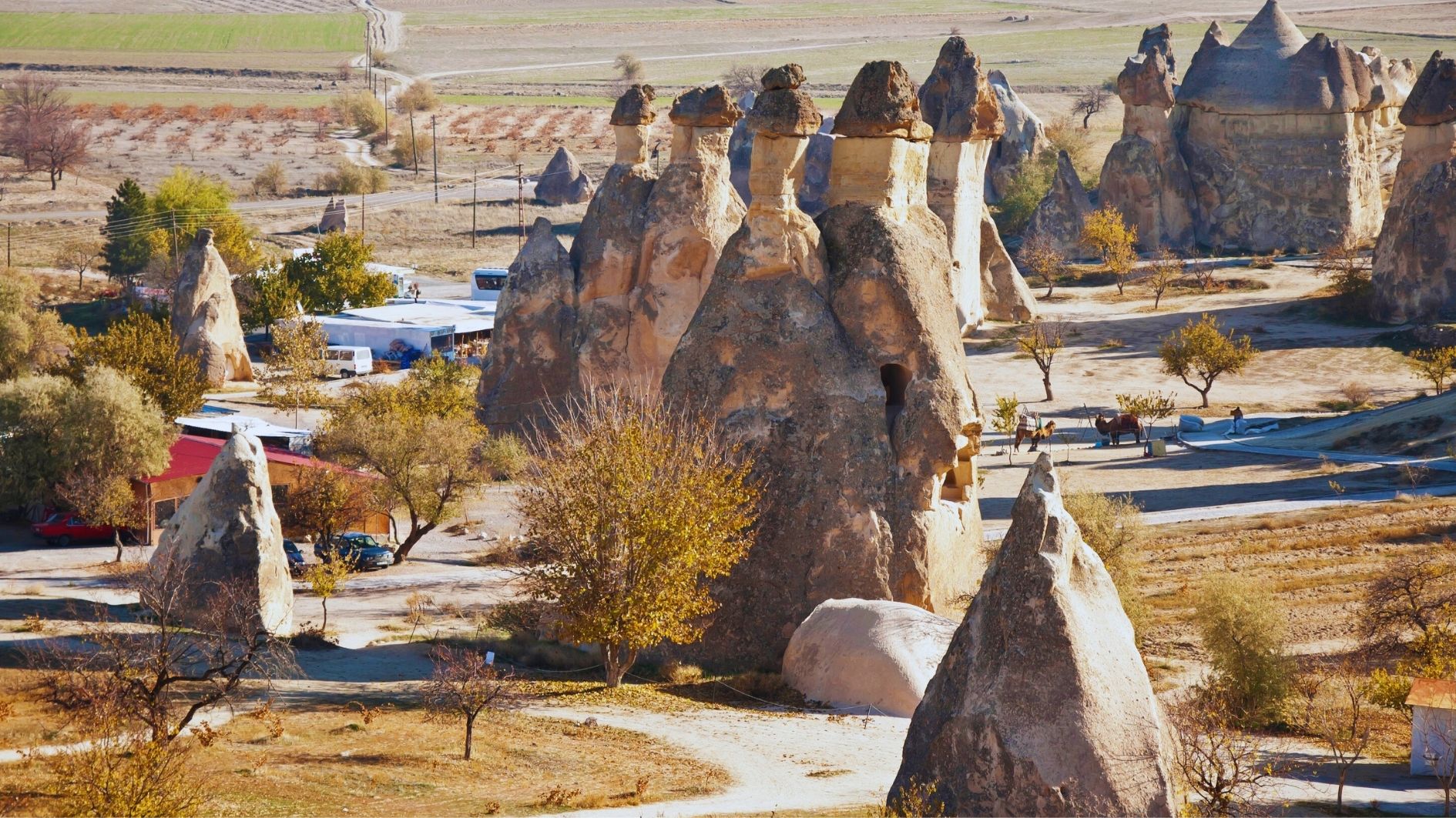Paşabağ