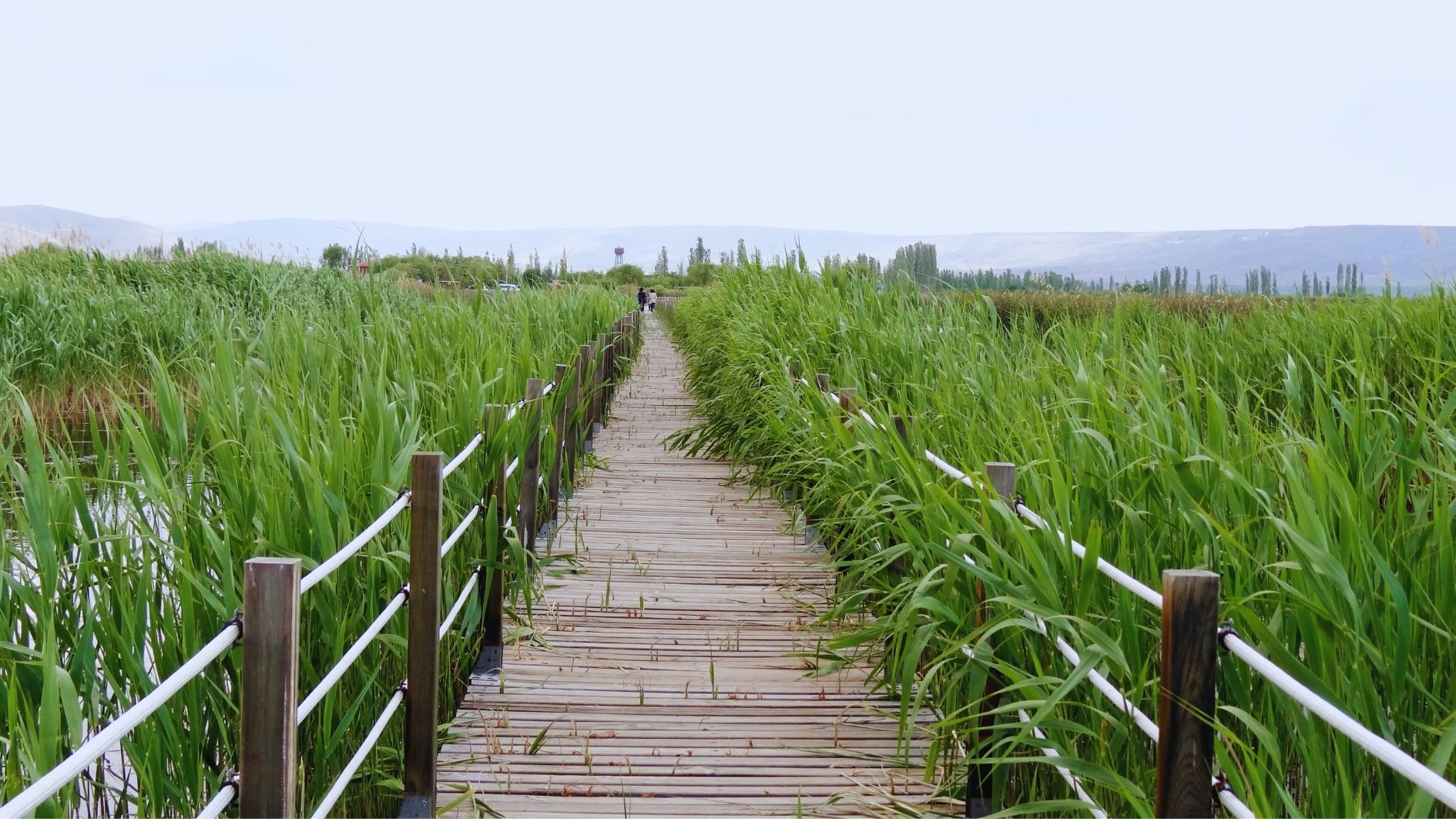 Sultan Marshes Bird Paradise