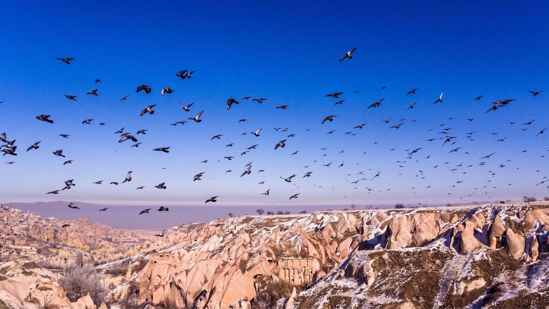 Pigeon Valley