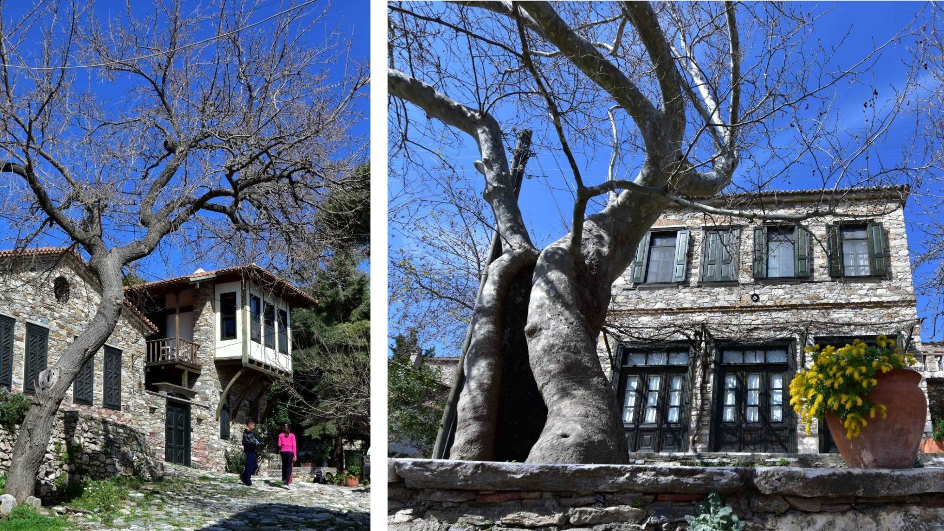 Eski Doğanbey Village