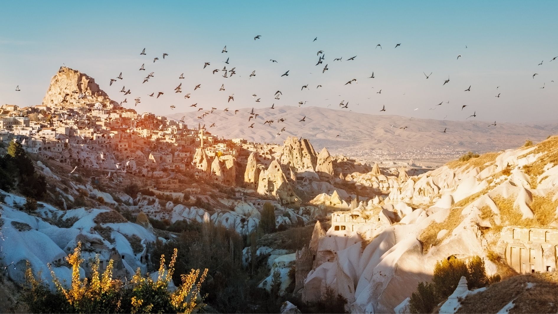 Pigeon Valley